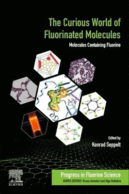 bokomslag The Curious World of Fluorinated Molecules