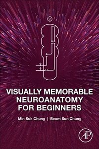 bokomslag Visually Memorable Neuroanatomy for Beginners