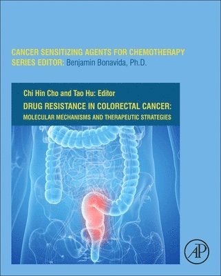 bokomslag Drug Resistance in Colorectal Cancer: Molecular Mechanisms and Therapeutic Strategies