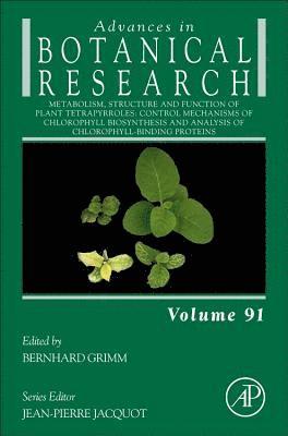 bokomslag Metabolism, Structure and Function of Plant Tetrapyrroles: Control Mechanisms of Chlorophyll Biosynthesis and Analysis of Chlorophyll-Binding Proteins