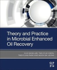 bokomslag Theory and Practice in Microbial Enhanced Oil Recovery
