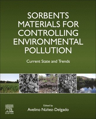 Avelino Nunez-Delgado, Spain) Nunez-Delgado, Avelino (Department of Soil Science and Agricultural Chemistry, Engineering Polytechnic School, Univ. Santiago de Compostela, Lugo - Sorbents Materials for Controlling Environmental Pollution, Häftad