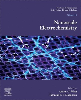 Nanoscale Electrochemistry 1