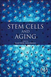 bokomslag Stem Cells and Aging