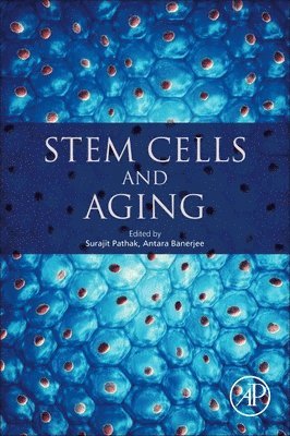 Stem Cells and Aging 1