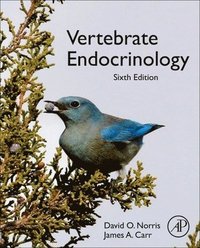 bokomslag Vertebrate Endocrinology