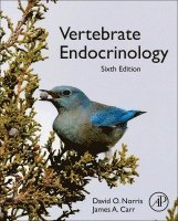 bokomslag Vertebrate Endocrinology