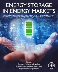 bokomslag Energy Storage in Energy Markets