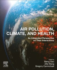 bokomslag Air Pollution, Climate, and Health