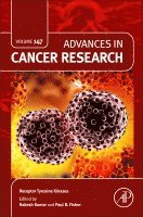 Kumar,Rakes, Paul B. Fisher, Rakesh Kumar - Receptor Tyrosine Kinases, Inbunden
