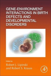 bokomslag Gene-Environment Interactions in Birth Defects and Developmental Disorders