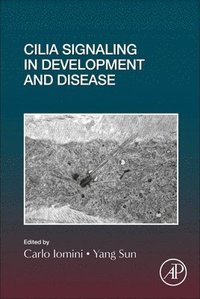 bokomslag Cilia Signaling in Development and Disease