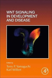 bokomslag Wnt Signaling in Development and Disease