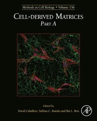 bokomslag Cell-derived Matrices Part A