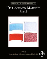 bokomslag Cell-Derived Matrices Part B