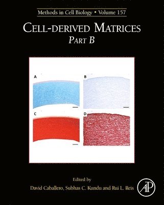 bokomslag Cell-Derived Matrices Part B