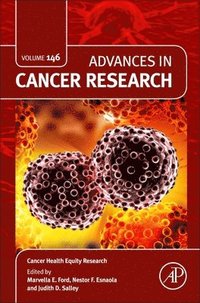 bokomslag Cancer Health Equity Research