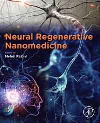 bokomslag Neural Regenerative Nanomedicine