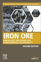 Liming Lu - Iron Ore, Häftad