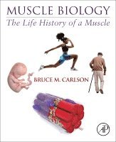 Bruce M. Carlson - Muscle Biology, Häftad