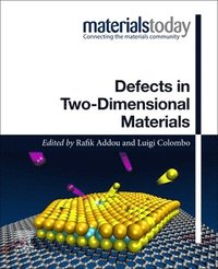 bokomslag Defects in Two-Dimensional Materials