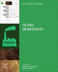 bokomslag Biomass, Biofuels, Biochemicals