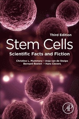 Stem Cells 1