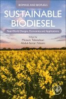 Meisam Tabatabaei, Abdul-Sattar Nizami - Sustainable Biodiesel, Häftad