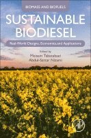 bokomslag Sustainable Biodiesel