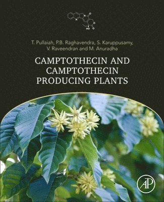 bokomslag Camptothecin and Camptothecin Producing Plants