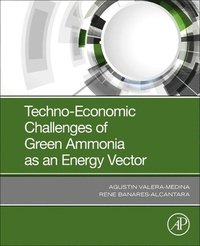 bokomslag Techno-Economic Challenges of Green Ammonia as an Energy Vector