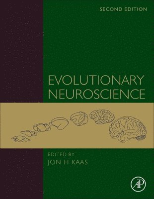 Jon H. Kaas, Jon H Kaas - Evolutionary Neuroscience, Inbunden