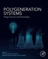 bokomslag Polygeneration Systems