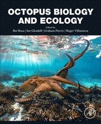 bokomslag Octopus Biology and Ecology