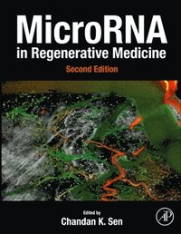 bokomslag MicroRNA in Regenerative Medicine
