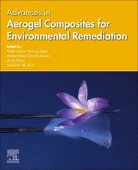 bokomslag Advances in Aerogel Composites for Environmental Remediation