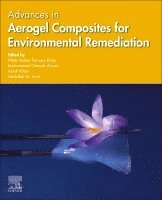 Aftab Aslam Parwaz Khan, Mohammad Omaish Ansari, Anish Khan, Abdullah M. Asiri - Advances in Aerogel Composites for Environmental Remediation, Häftad