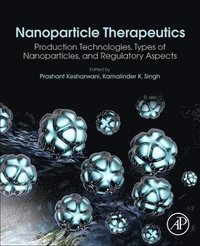 bokomslag Nanoparticle Therapeutics