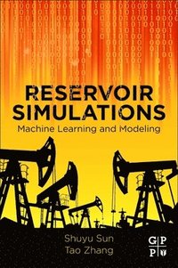 bokomslag Reservoir Simulations