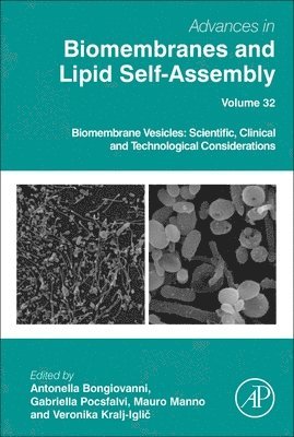 Antonella Bongiovanni, Gabriella Pocsfalvi - Biomembrane Vesicles: Scientific, Clinical and Technological Considerations, Inbunden
