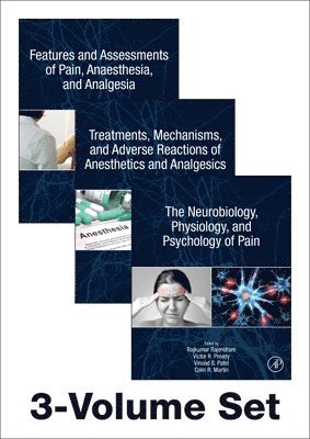Rajkumar Rajendram, Vinood Patel, Victor R. Preedy - The Neuroscience of Pain, Anesthetics, and Analgesics, Häftad