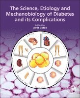 Amit Gefen - The Science, Etiology and Mechanobiology of Diabetes and its Complications, Häftad