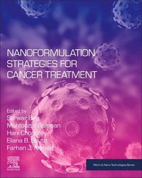 bokomslag Nanoformulation Strategies for Cancer Treatment