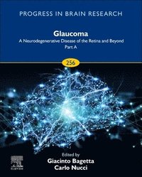 bokomslag Glaucoma: A Neurodegenerative Disease of the Retina and Beyond: Part A