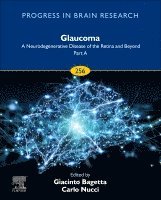 bokomslag Glaucoma: A Neurodegenerative Disease of the Retina and Beyond: Part A