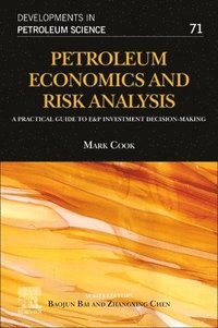 bokomslag Petroleum Economics and Risk Analysis