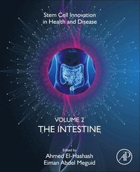 bokomslag The Intestine
