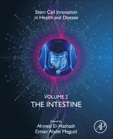Ahmed El-Hashash, Eiman Abdel Meguid - The Intestine, Häftad