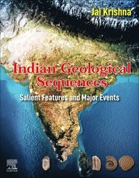 bokomslag Indian Geological Sequences