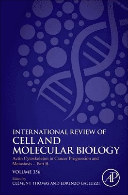 bokomslag Actin Cytoskeleton in Cancer Progression and Metastasis - Part B